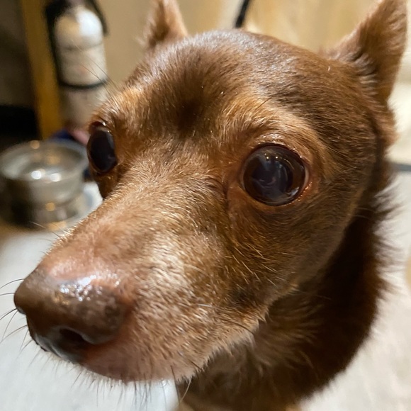 Hi, I’m Stephanie! - Picture 7 of 8